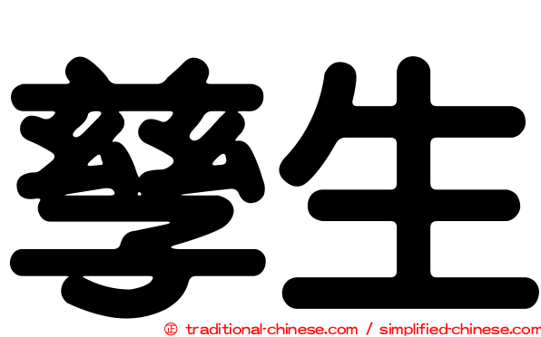 孳生
