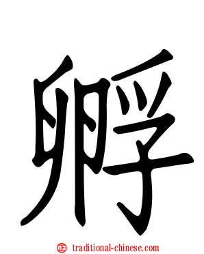 孵