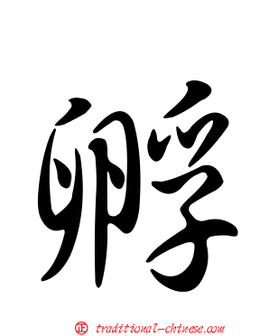 孵