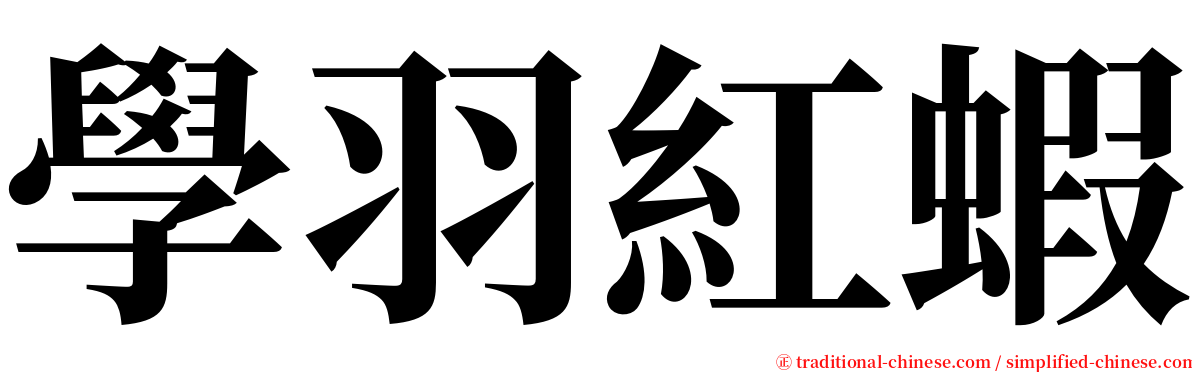 學羽紅蝦 serif font
