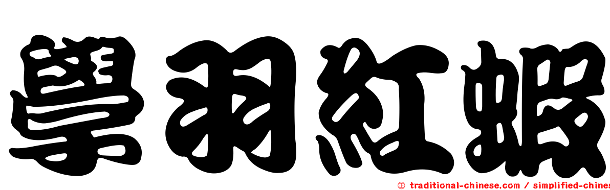 學羽紅蝦