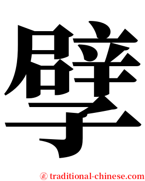 孹 serif font