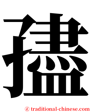 孻 serif font