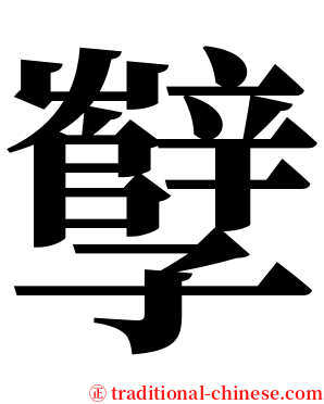孼 serif font
