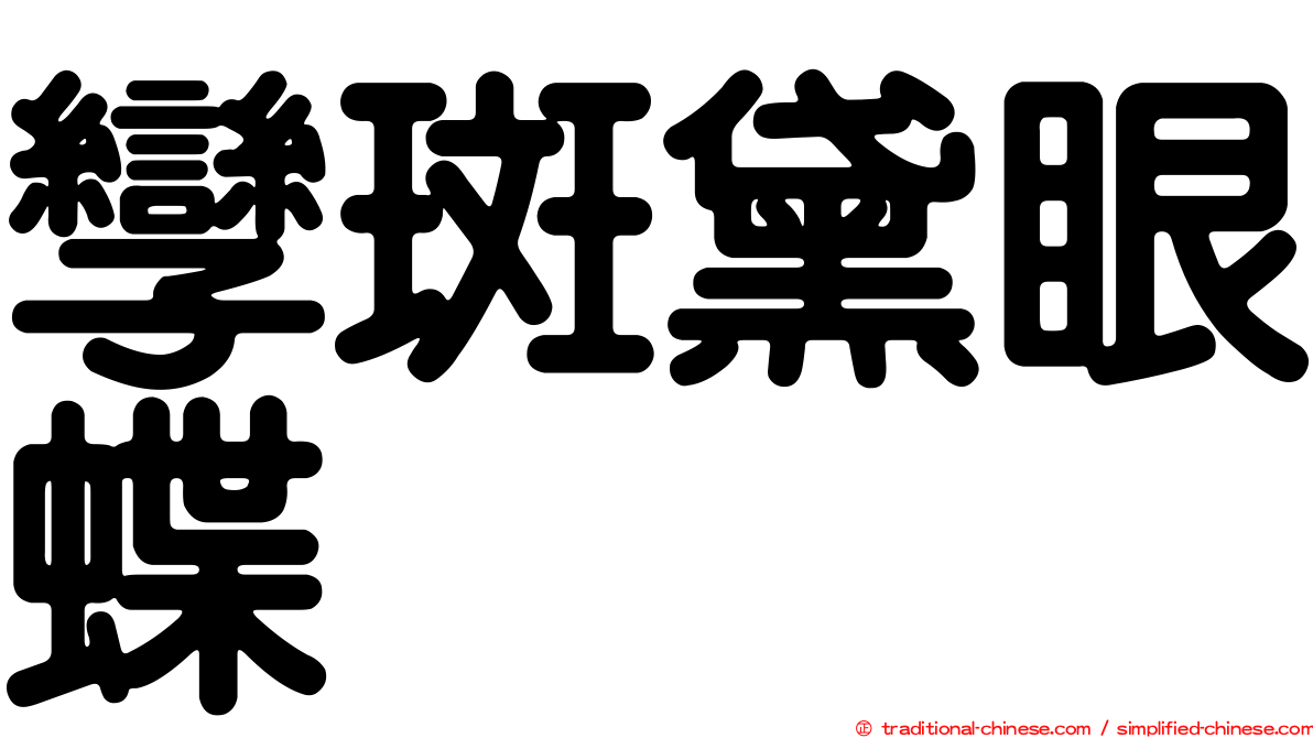 孿斑黛眼蝶