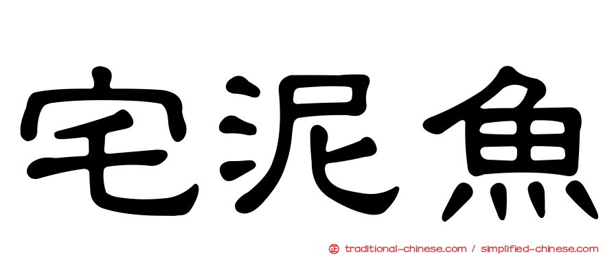 宅泥魚