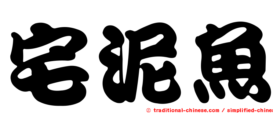 宅泥魚