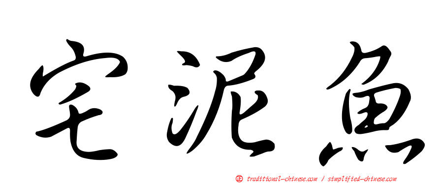 宅泥魚