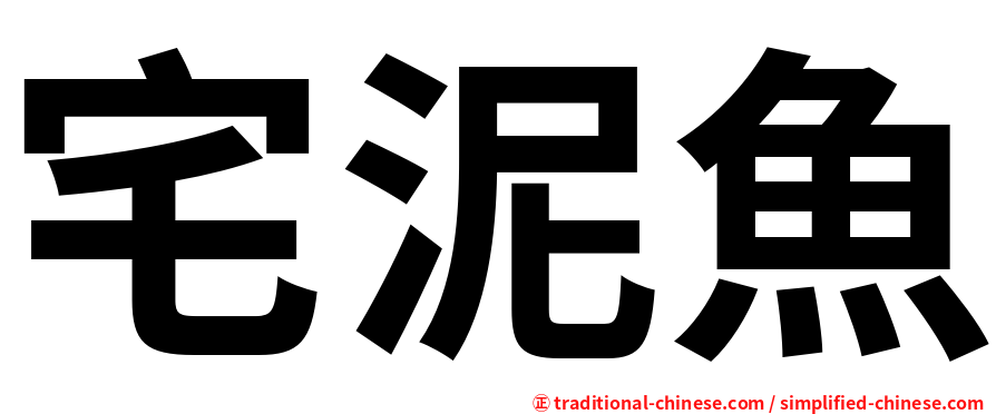 宅泥魚