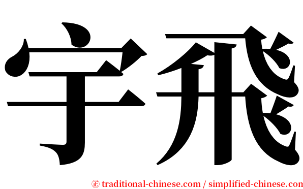 宇飛 serif font