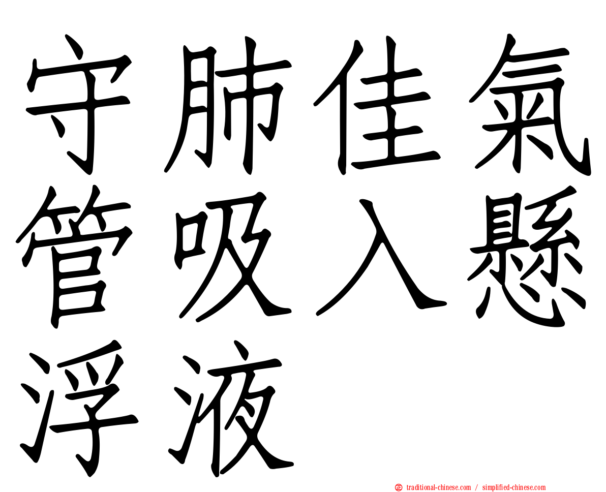 守肺佳氣管吸入懸浮液
