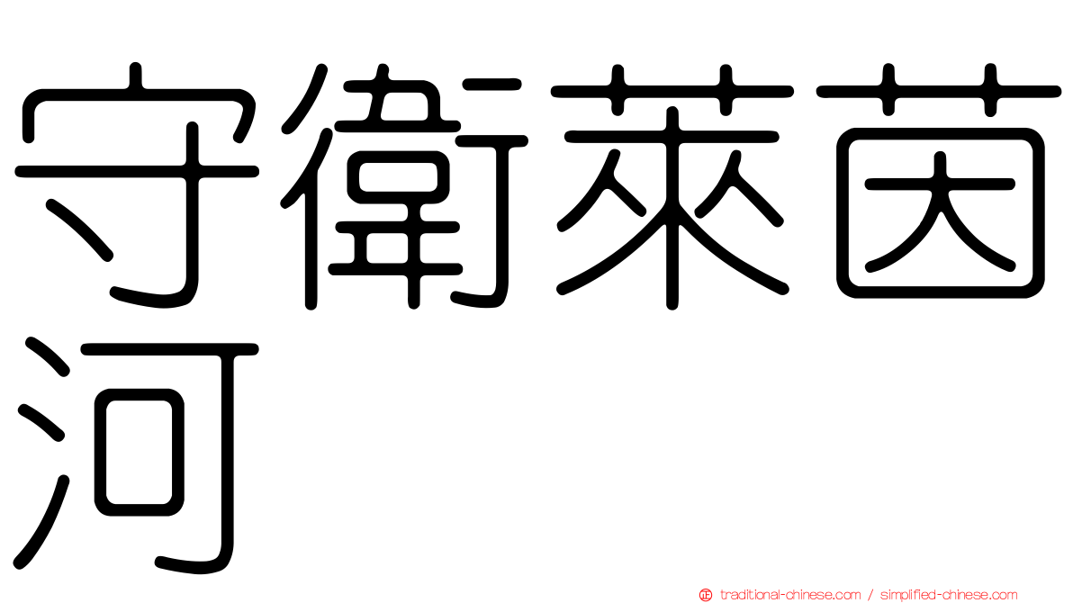 守衛萊茵河