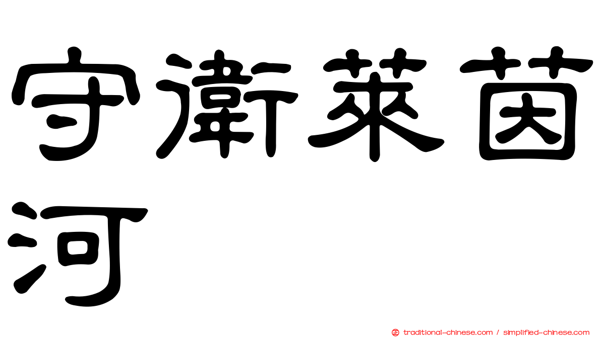 守衛萊茵河