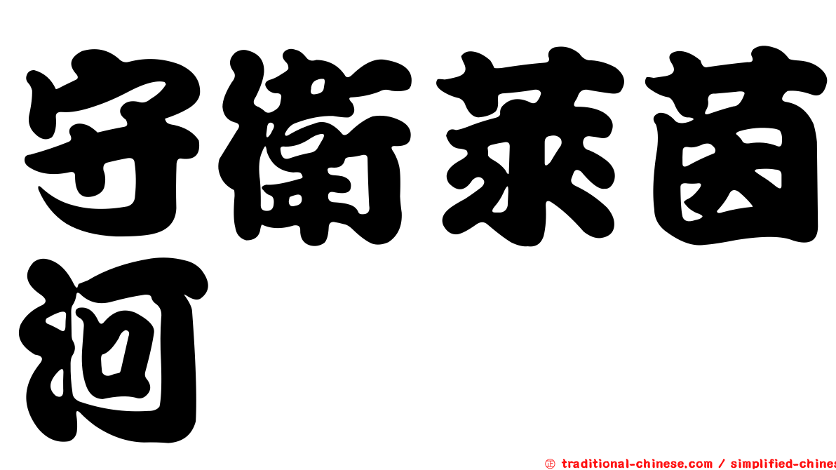 守衛萊茵河