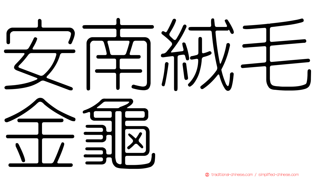 安南絨毛金龜