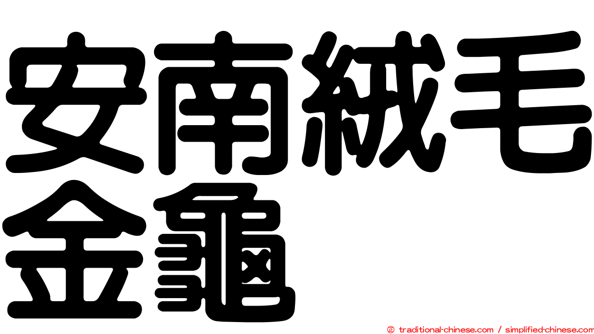 安南絨毛金龜