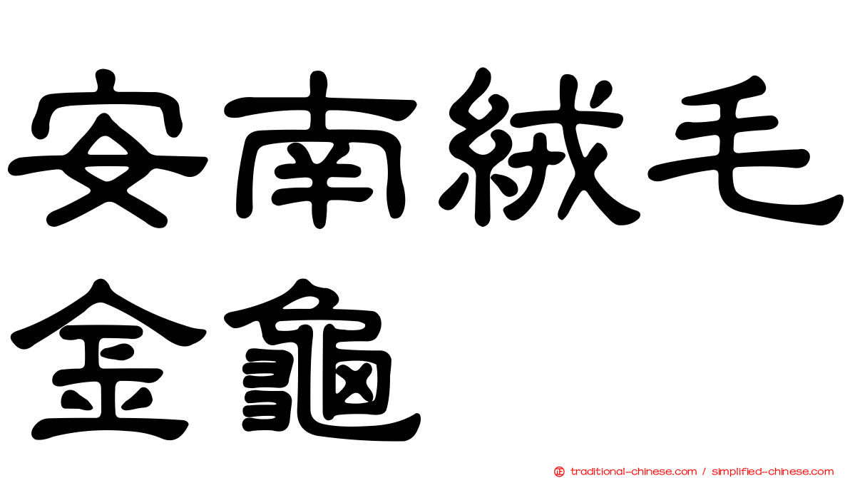 安南絨毛金龜