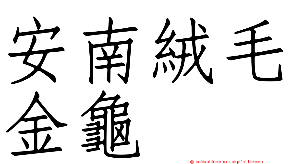 安南絨毛金龜