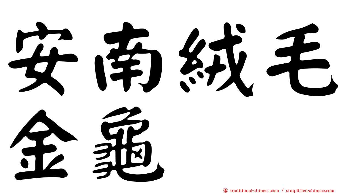 安南絨毛金龜