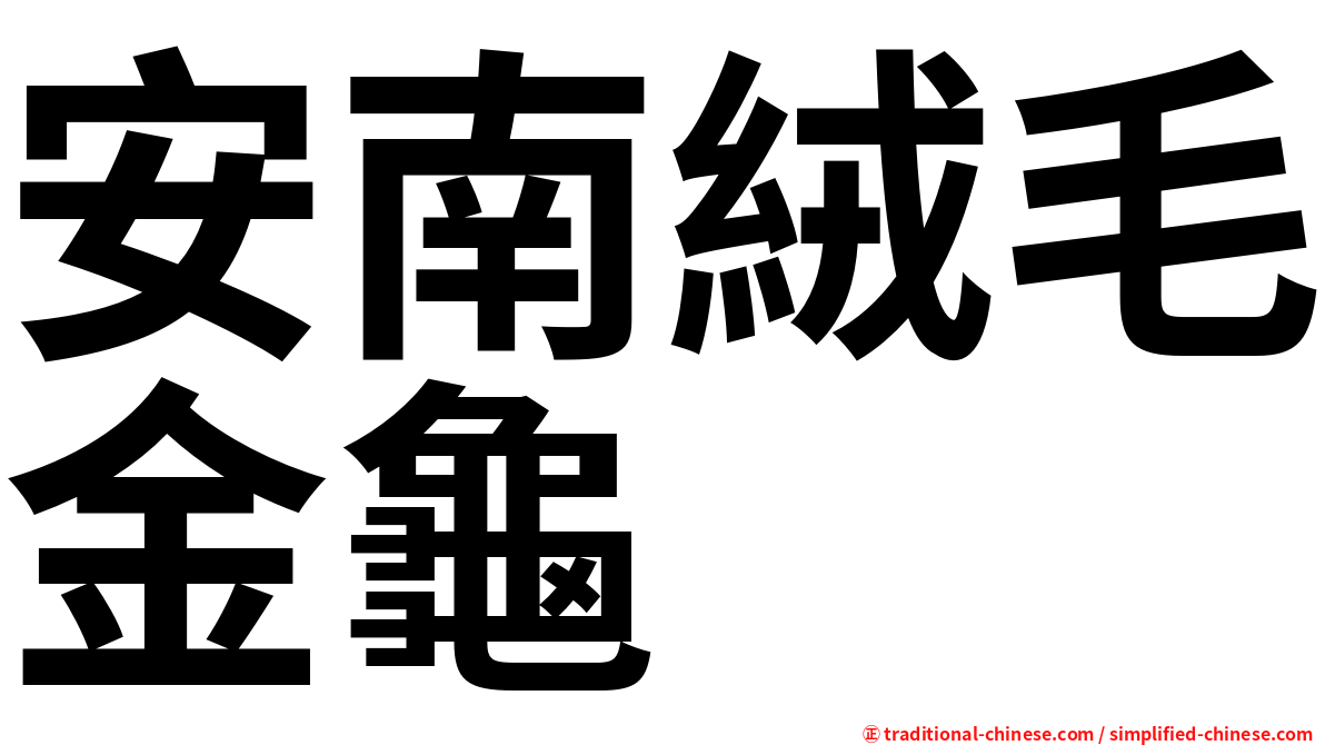 安南絨毛金龜