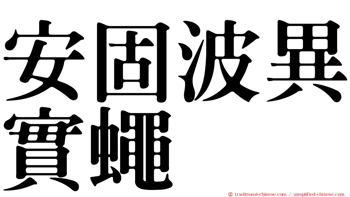 安固波異實蠅