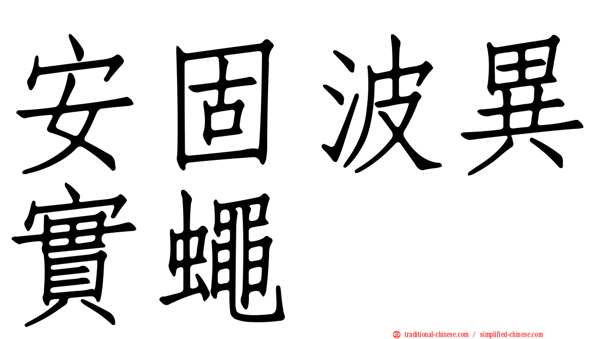 安固波異實蠅