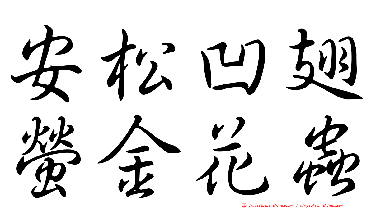 安松凹翅螢金花蟲