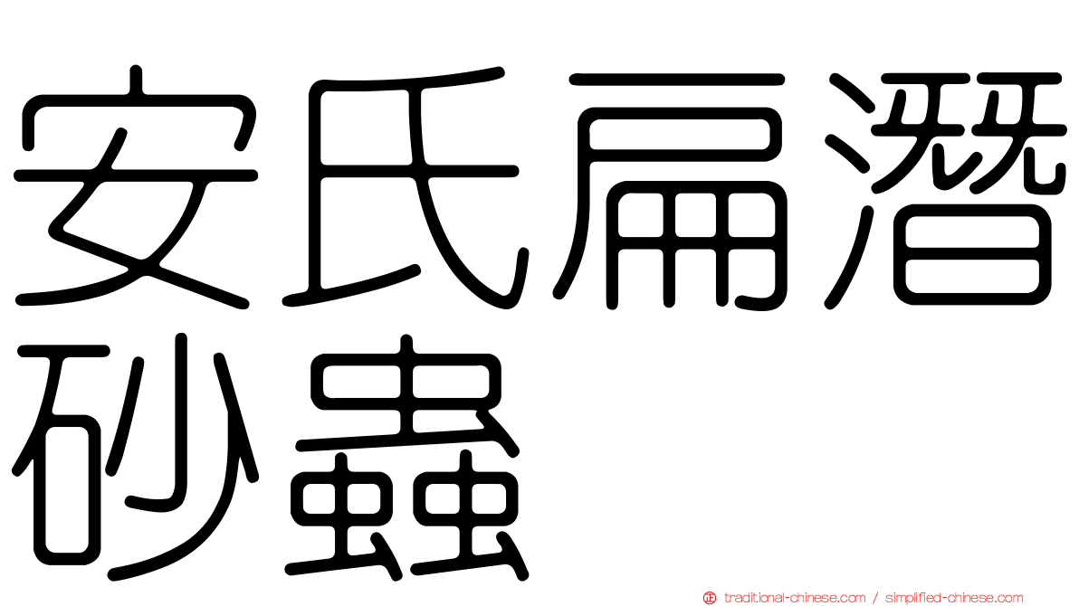 安氏扁潛砂蟲