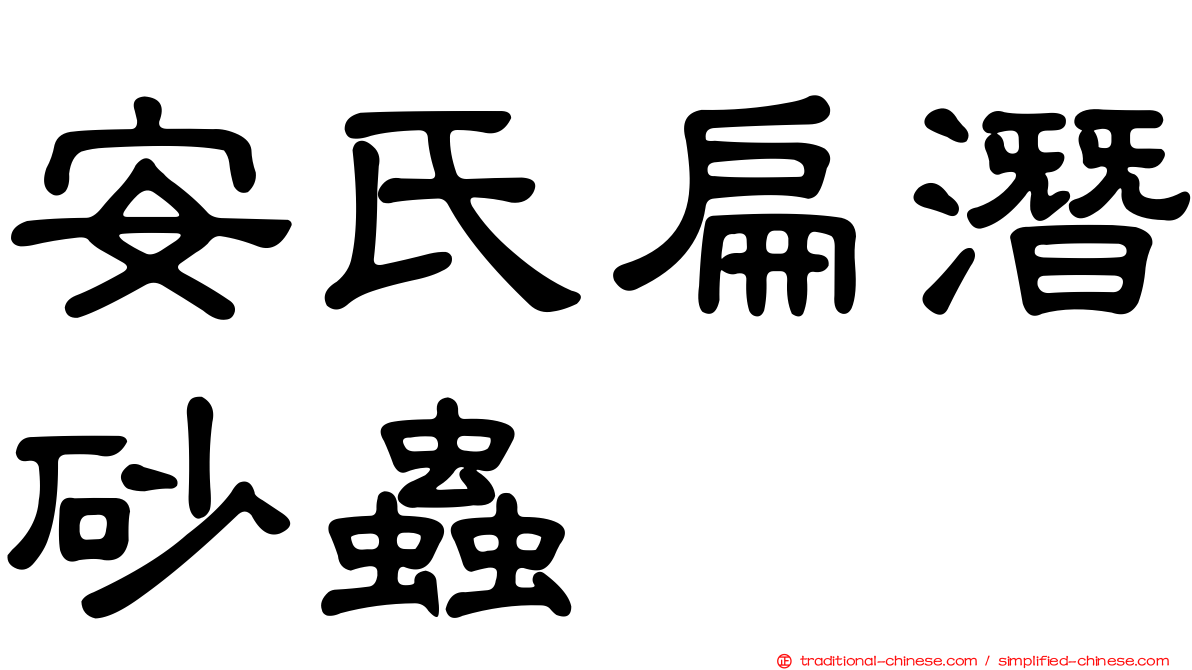 安氏扁潛砂蟲