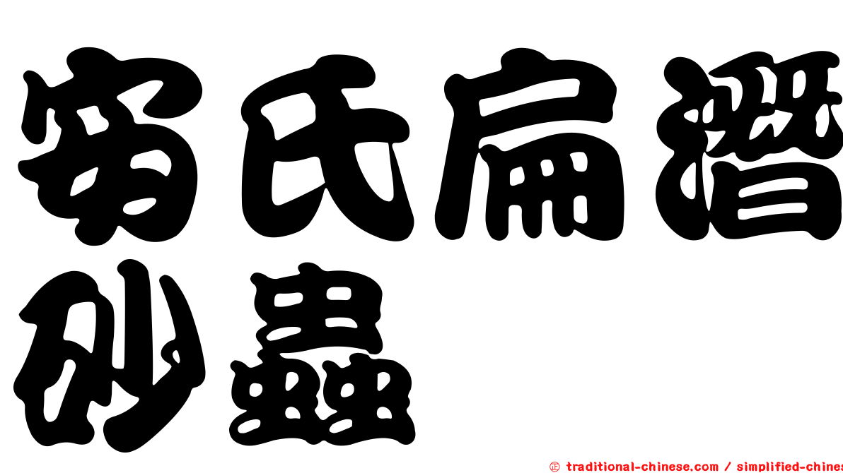 安氏扁潛砂蟲