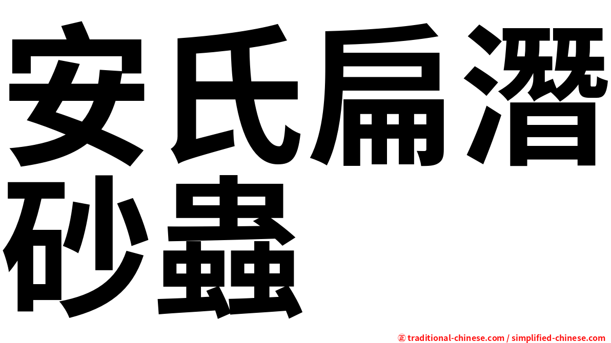 安氏扁潛砂蟲