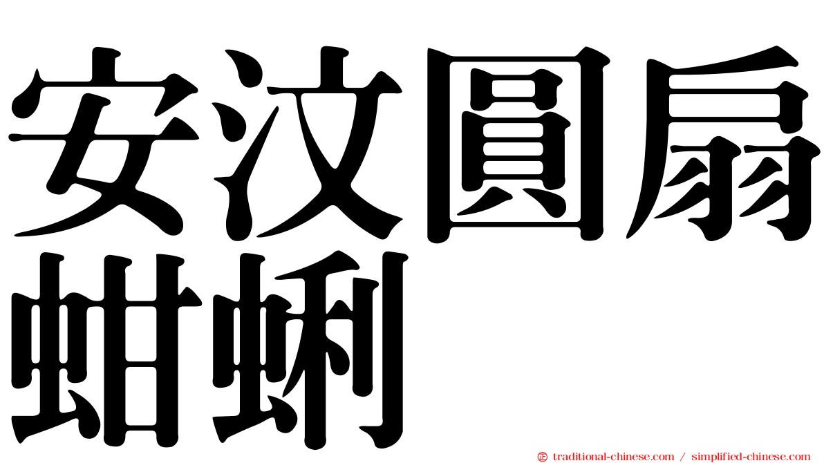 安汶圓扇蚶蜊