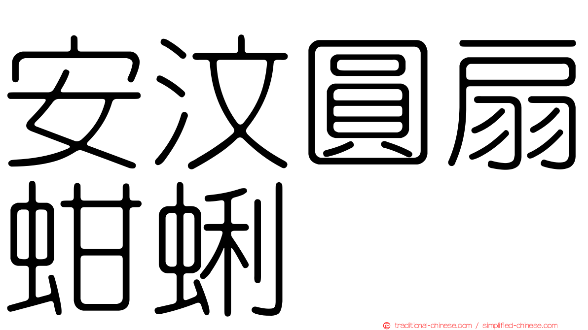 安汶圓扇蚶蜊