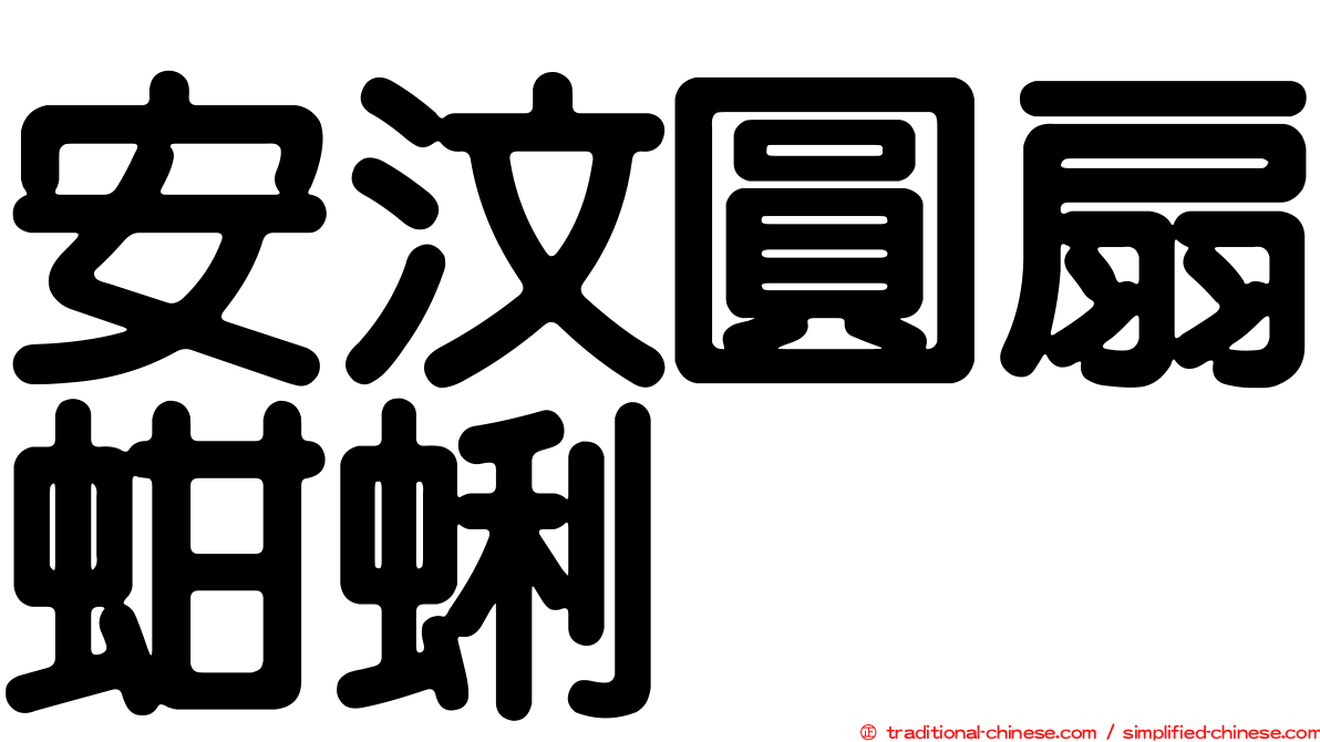 安汶圓扇蚶蜊
