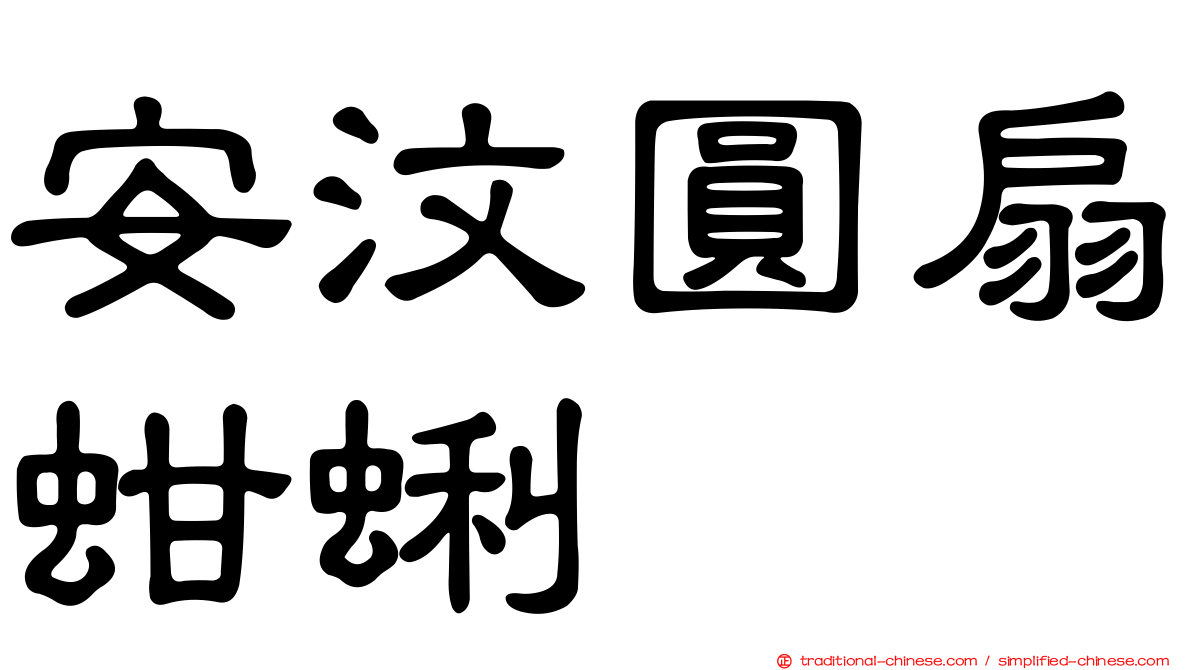 安汶圓扇蚶蜊
