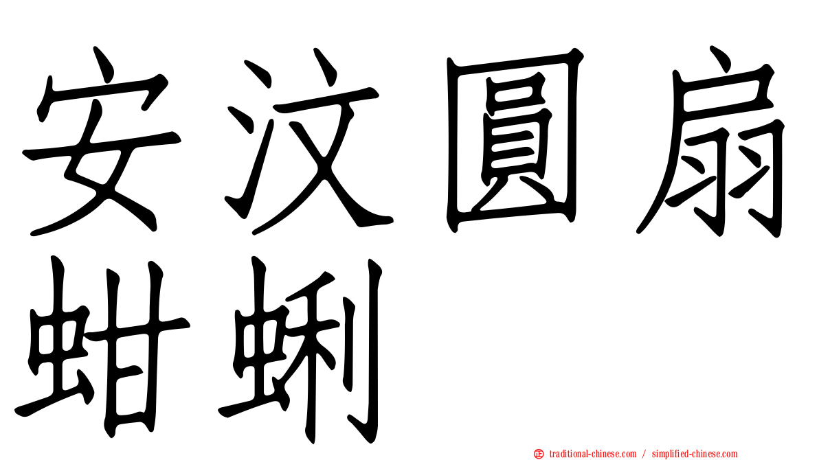 安汶圓扇蚶蜊