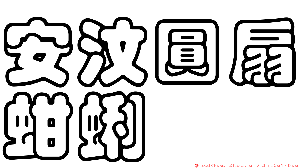 安汶圓扇蚶蜊