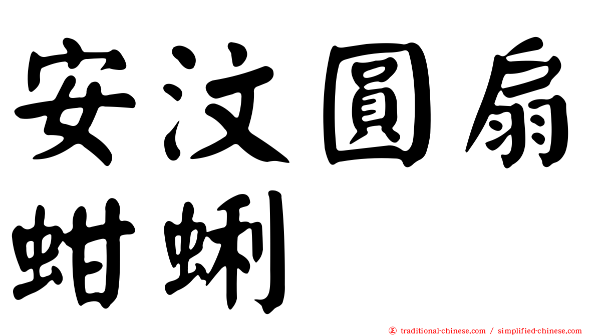 安汶圓扇蚶蜊