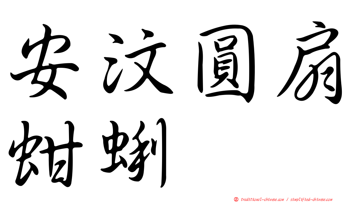 安汶圓扇蚶蜊