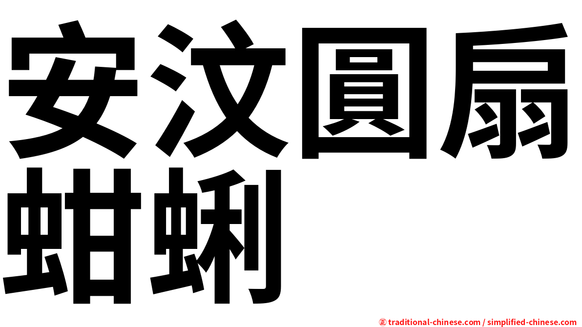 安汶圓扇蚶蜊