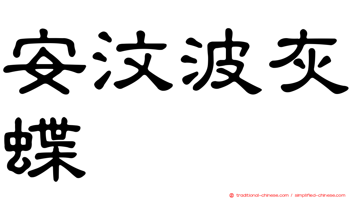 安汶波灰蝶