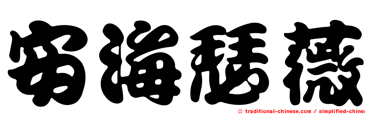 安海瑟薇