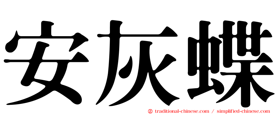安灰蝶