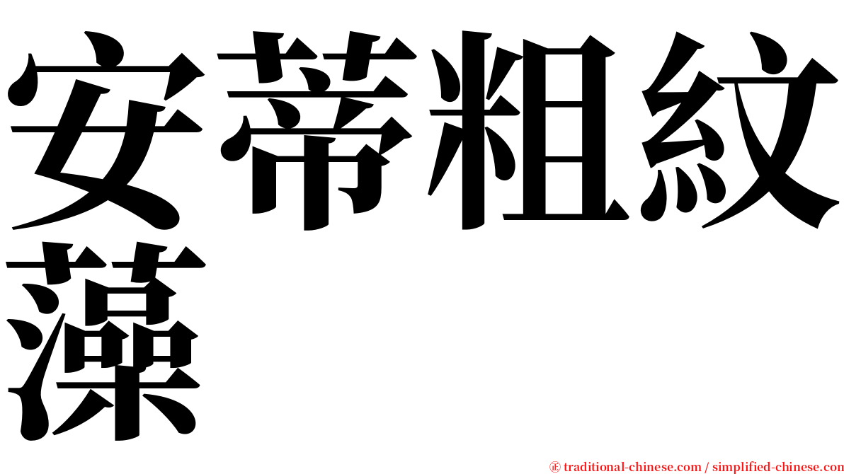 安蒂粗紋藻 serif font