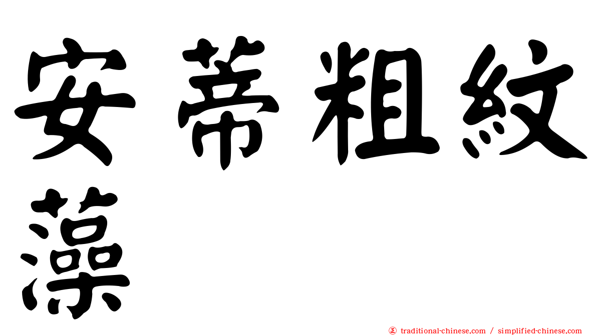 安蒂粗紋藻