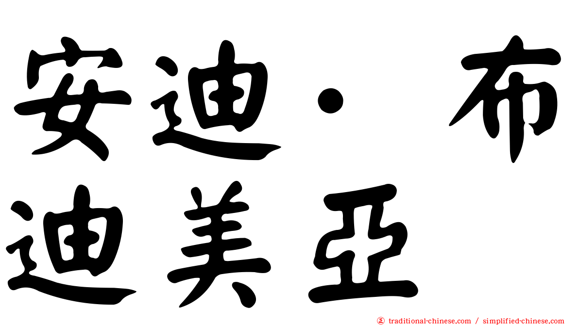 安迪·布迪美亞