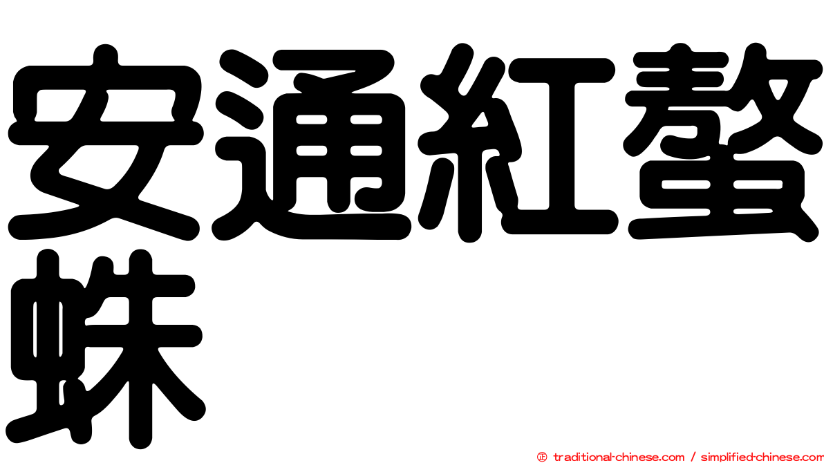 安通紅螯蛛