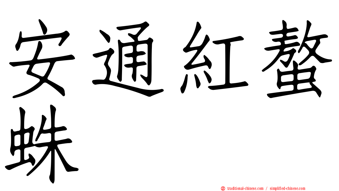 安通紅螯蛛
