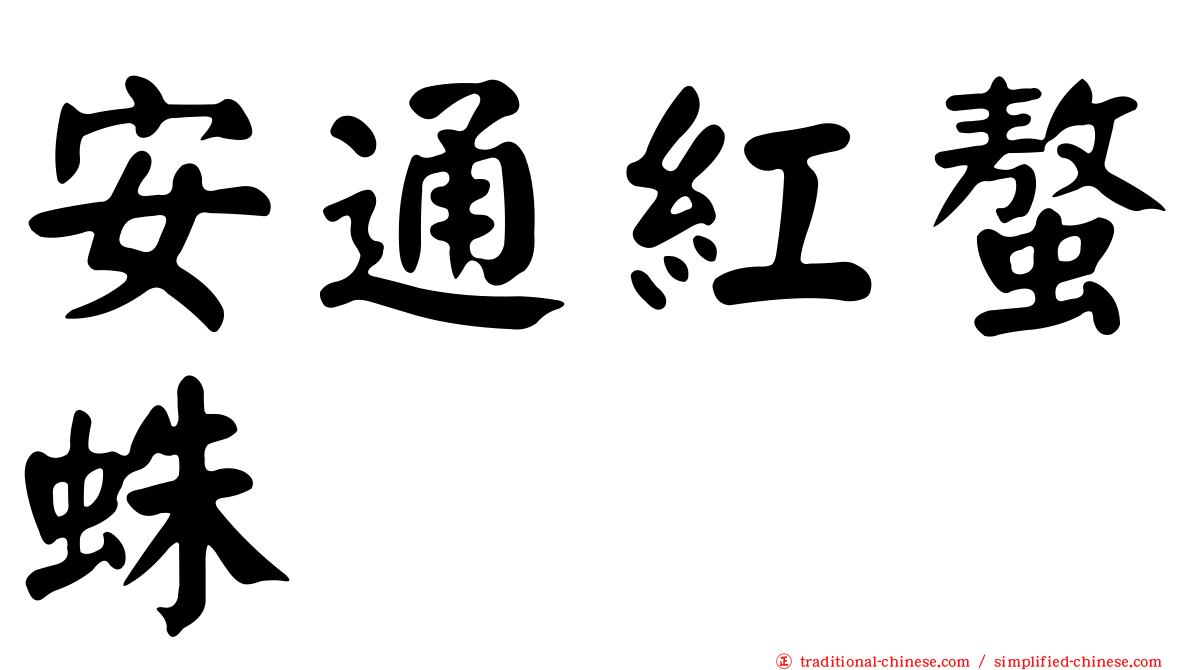 安通紅螯蛛