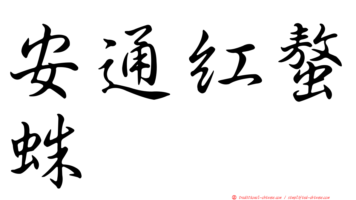 安通紅螯蛛